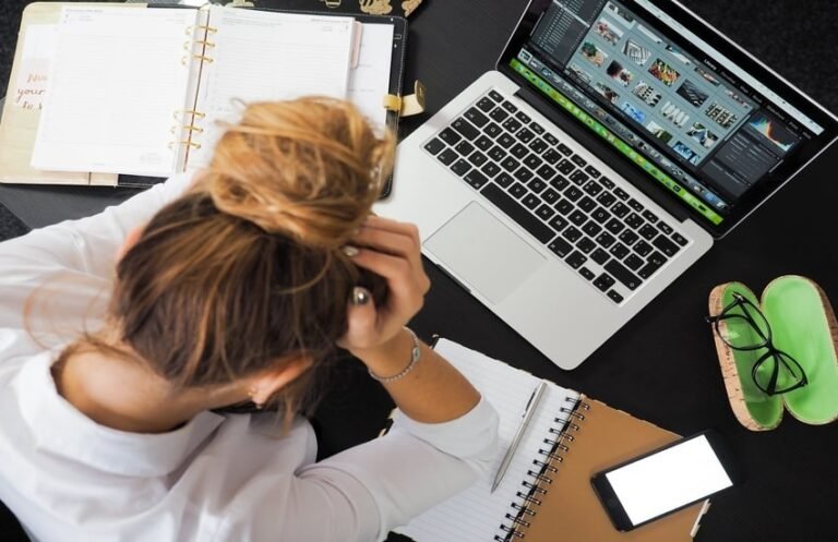 Issues in Software Development