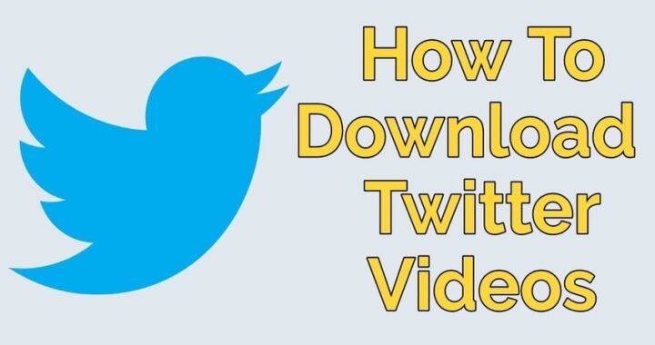 How to download a video from Twitter