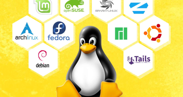 Linux Distros for Servers