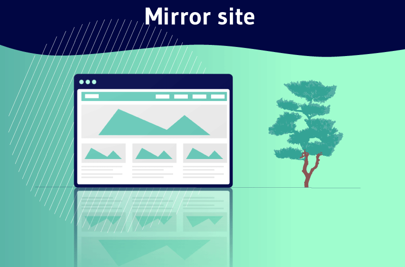 What is a Site Mirror