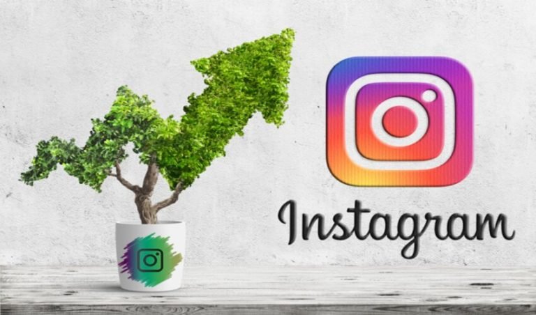 Instagram Organic Growth