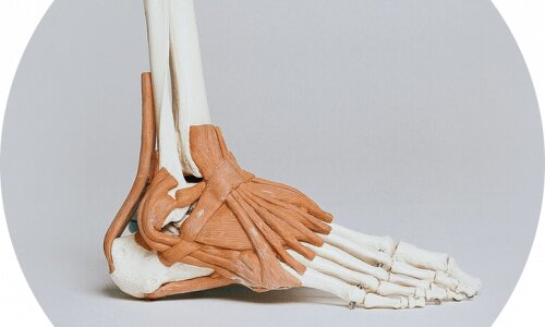 Ligament Injuries