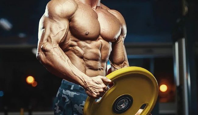 Steroid Supplements