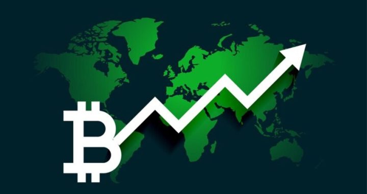 auses and Effects of Cryptocurrency Market Volatility