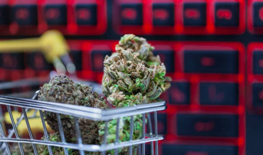 Weed Online