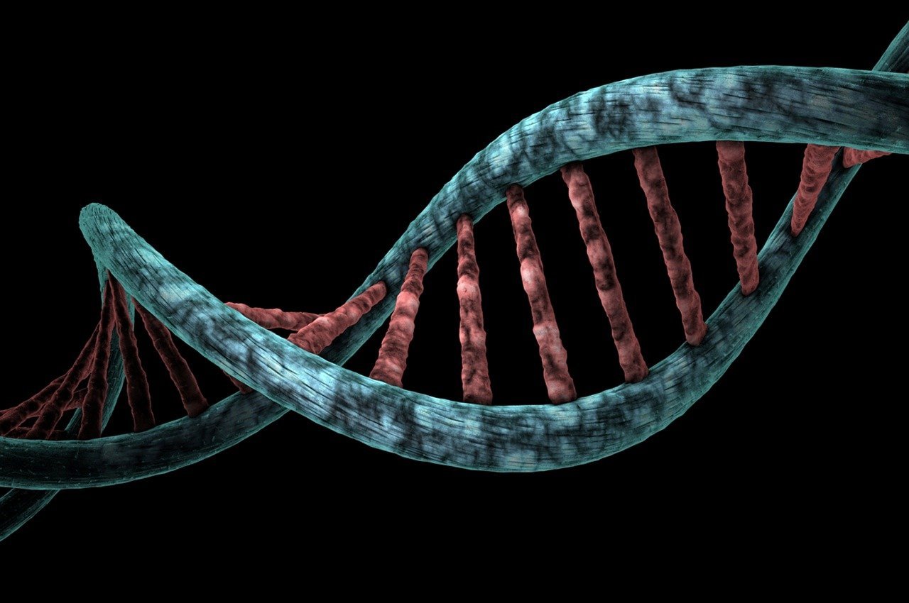 DNA Unlocks for Biotech R&D