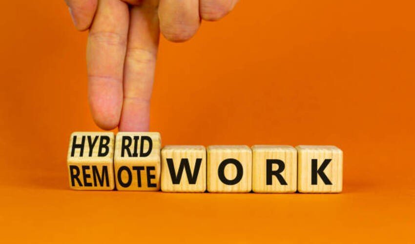 Hybrid Job Meaning
