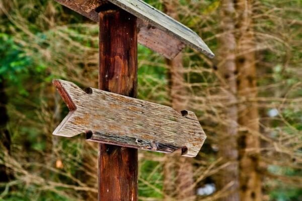 Is the Red Cedar Message Board Still Worth Joining in 2025? Red Cedar Message Board