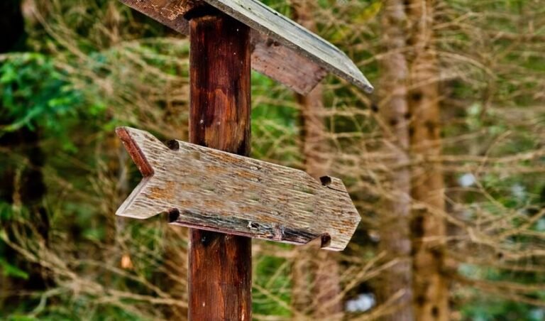 Red Cedar Message Board