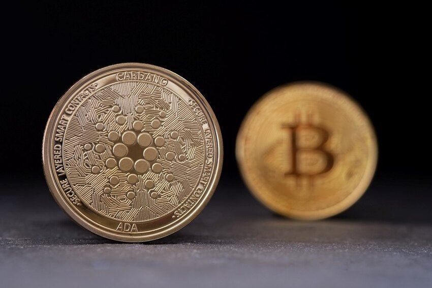 canabit trading platform