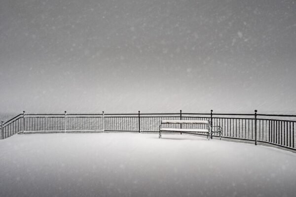 Professional Fence Installation