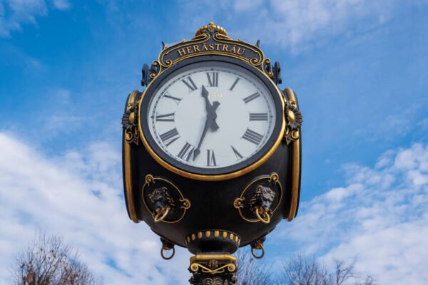 Roman Numeral XXV
