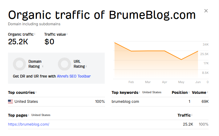 Brumeblog Traffic